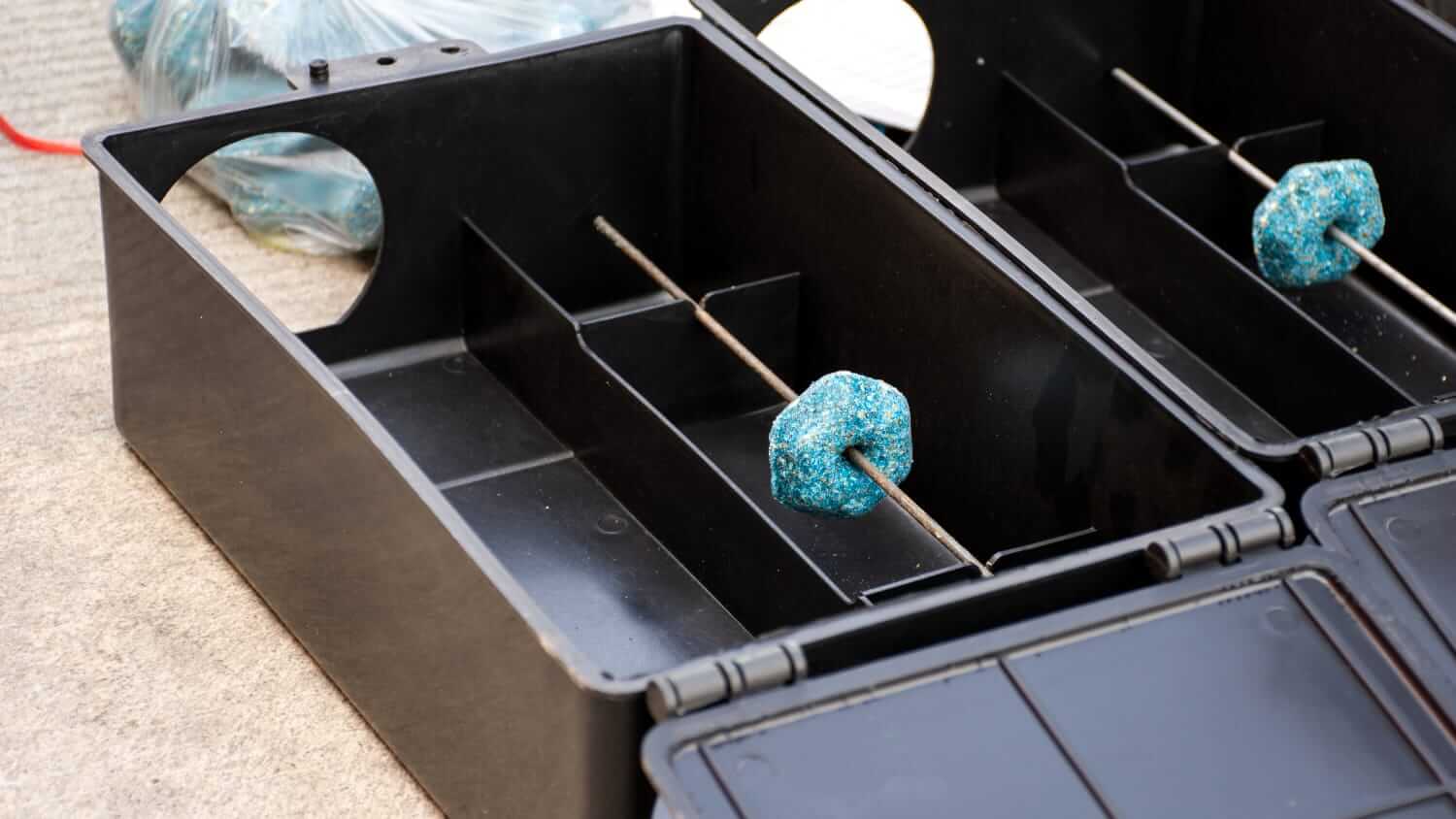 Rodenticide bait in tamper proof boxes